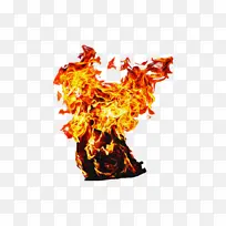 火焰 橙色-空若网 火焰 橙色-空若网