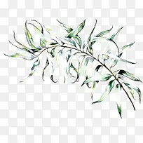 ֲ�� Ҷ ��-������