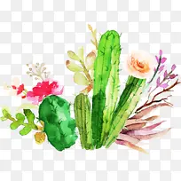 �ɹ���Ʒ�� ֲ�� ˮ�ʻ�-������