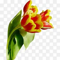 水彩 油漆 湿墨-空若网 水彩 油漆 湿墨-空若网