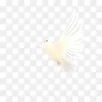 ¿¨Í¨ °×É« ³á°ò-¿ÕÈôÍø ¿¨Í¨ °×É« ³á°ò-¿ÕÈôÍø