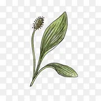 �� ����ֲ�� �ϲ�-������