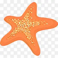 卡通 海星 橙色-空若网 卡通 海星 橙色-空若网
