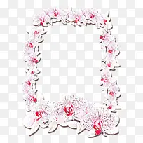 ��ͨ �������-������