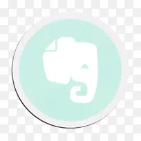 白色 绿色 浅绿色-空若网 白色 绿色 浅绿色-空若网