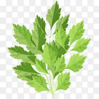 水彩画 油漆 湿墨-空若网 水彩画 油漆 湿墨-空若网