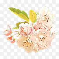 ��ͨ ���� ��ɫ-������