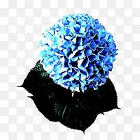 ��ɫ ���� ��-������