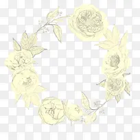 白色 叶子 植物-空若网 白色 叶子 植物-空若网