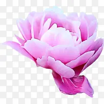 ˮ�ʻ� ���� ʪī-������