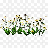 »¨ ¿ª»¨Ö²Îï Ö²Îï-¿ÕÈôÍø »¨ ¿ª»¨Ö²Îï Ö²Îï-¿ÕÈôÍø