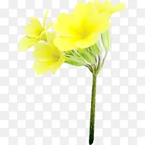 水彩 颜料 湿墨-空若网 水彩 颜料 湿墨-空若网