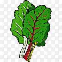 甜菜 叶菜 叶-空若网 甜菜 叶菜 叶-空若网