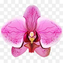 水彩画 颜料 湿墨-空若网 水彩画 颜料 湿墨-空若网