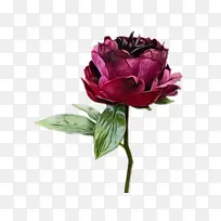 ˮ�� ���� ʪī-������