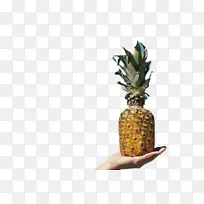 ���� ˮ�� ֲ��-������