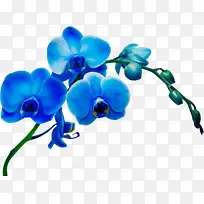 水彩画 颜料 湿墨-空若网 水彩画 颜料 湿墨-空若网