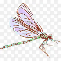 卡通 昆虫 害虫-空若网 卡通 昆虫 害虫-空若网