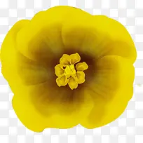 ˮ�� ���� ʪī-������