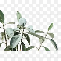 水彩 油漆 湿墨-空若网 水彩 油漆 湿墨-空若网