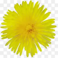 水彩画 油漆 湿墨水-空若网 水彩画 油漆 湿墨水-空若网