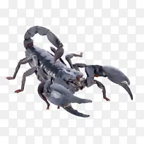 ˮ�ʻ� ���� ʪī-������