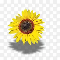 水彩画 颜料 湿墨-空若网 水彩画 颜料 湿墨-空若网