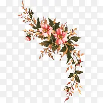 花 植物 树枝-空若网 花 植物 树枝-空若网