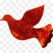 红色 橙色 叶子-空若网 红色 橙色 叶子-空若网