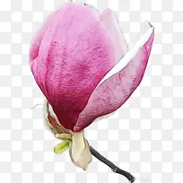 水彩 油漆 湿墨-空若网 水彩 油漆 湿墨-空若网