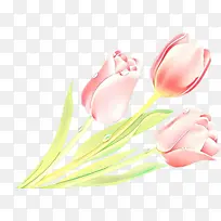 ��ͨ ��ɫ ������-������