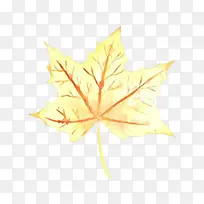 卡通 树叶 枫叶-空若网 卡通 树叶 枫叶-空若网