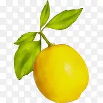 水彩画 颜料 湿墨-空若网 水彩画 颜料 湿墨-空若网