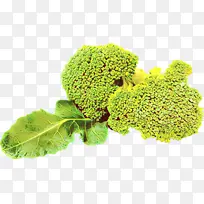 卡通 西兰花 十字花科蔬菜-空若网 卡通 西兰花 十字花科蔬菜-空若网