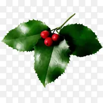 水彩 油漆 湿墨-空若网 水彩 油漆 湿墨-空若网