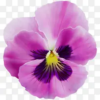 Ë®²Ê» ÑÕÁÏ ÊªÄ«-¿ÕÈôÍø Ë®²Ê» ÑÕÁÏ ÊªÄ«-¿ÕÈôÍø