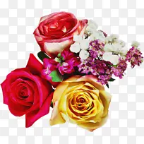 ���� ��԰õ�� õ��-������