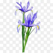 ˮ�ʻ� ���� ʪī-������