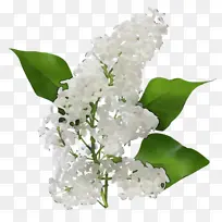 ˮ�� ���� ʪī-������