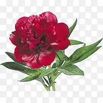 水彩 颜料 湿墨-空若网 水彩 颜料 湿墨-空若网