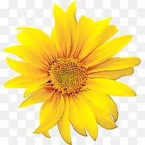 ˮ�ʻ� ���� ʪī-������