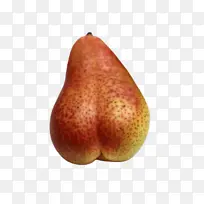 梨 鼻子 植物-空若网 梨 鼻子 植物-空若网