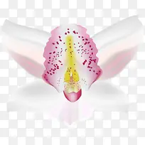 Ë®²Ê» ÑÕÁÏ ÊªÄ«-¿ÕÈôÍø Ë®²Ê» ÑÕÁÏ ÊªÄ«-¿ÕÈôÍø