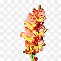 水彩 油漆 湿墨-空若网 水彩 油漆 湿墨-空若网