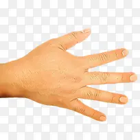 卡通 手指 手-空若网 卡通 手指 手-空若网