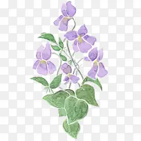 ˮ�ʻ� ���� ʪī-������