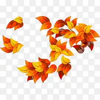 Ҷ�� ��ɫ ��ɫ-������