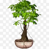 水彩 油漆 湿墨-空若网 水彩 油漆 湿墨-空若网