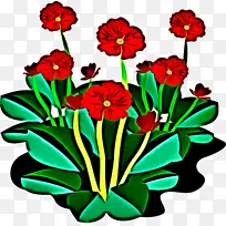 花 植物 花瓣-空若网 花 植物 花瓣-空若网