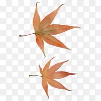 水彩画 油漆 湿墨-空若网 水彩画 油漆 湿墨-空若网